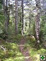thn_NZ leden-unor 2006 159.jpg